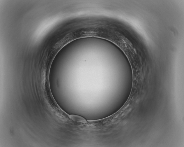 X0000112480194200908241301