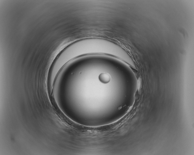 X0000112480195200908241301