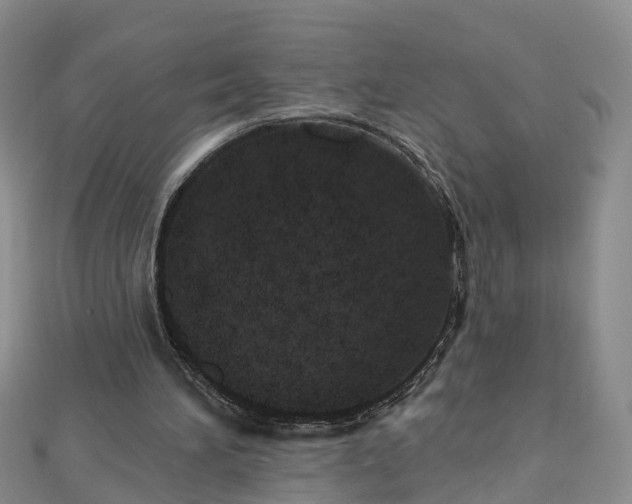 X0000112480196200908241301