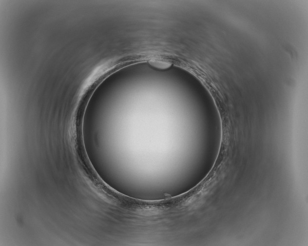 X0000112480198200908241301