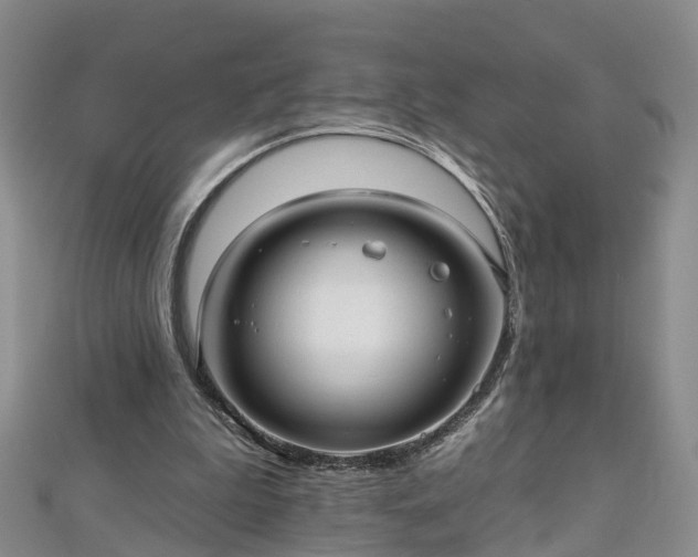 X0000112480199200908241301