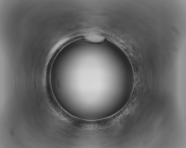 X0000112480200200908241301