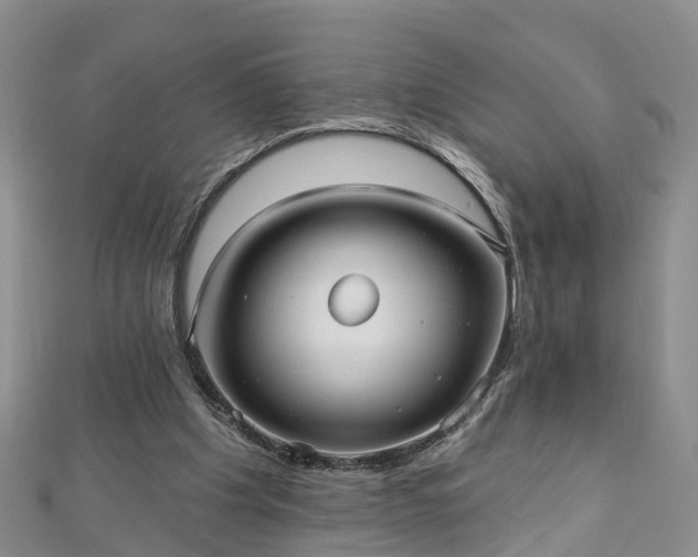 X0000112480201200908241301