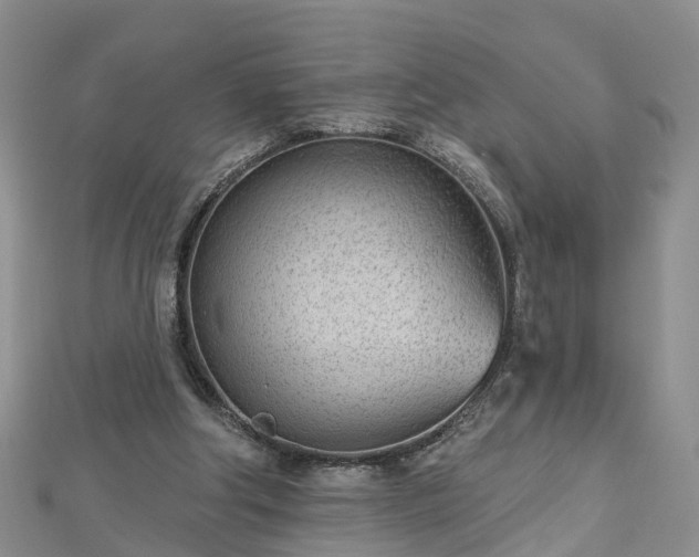 X0000112480202200908241301