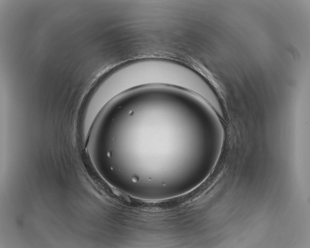 X0000112480203200908241301