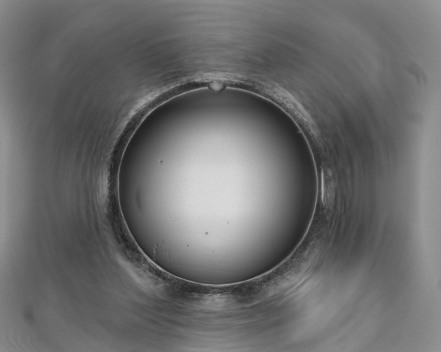 X0000112480204200908241301