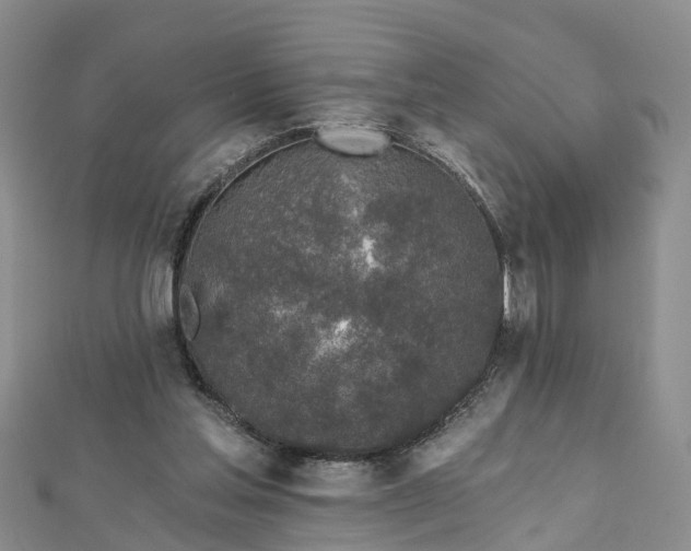 X0000112480205200908241301