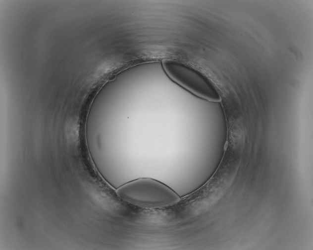 X0000112480207200908241301