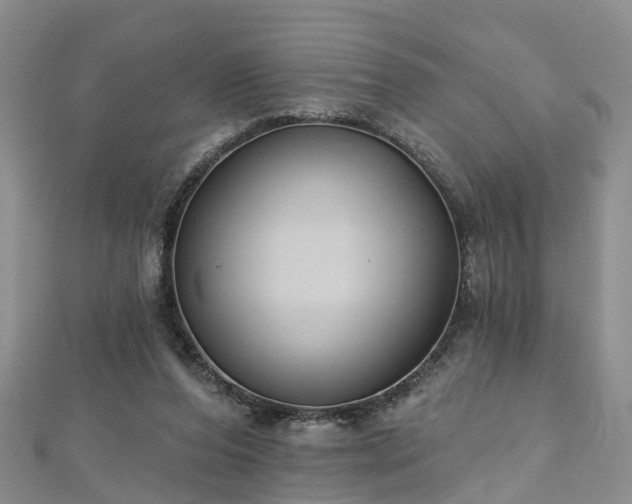 X0000112480208200908241301