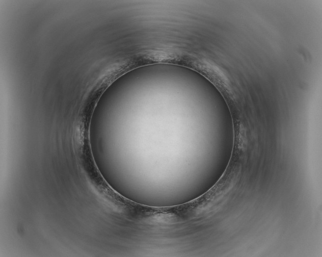 X0000112480210200908241301