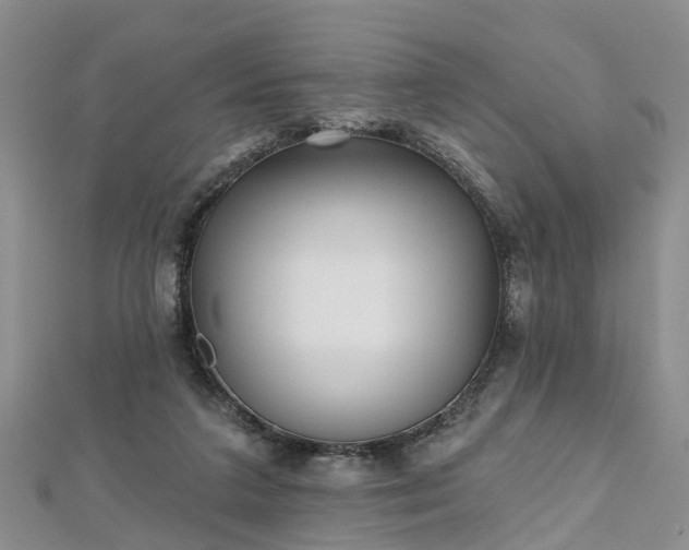 X0000112480211200908241301