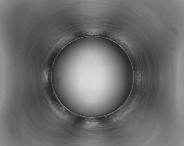 X0000112480214200908241301