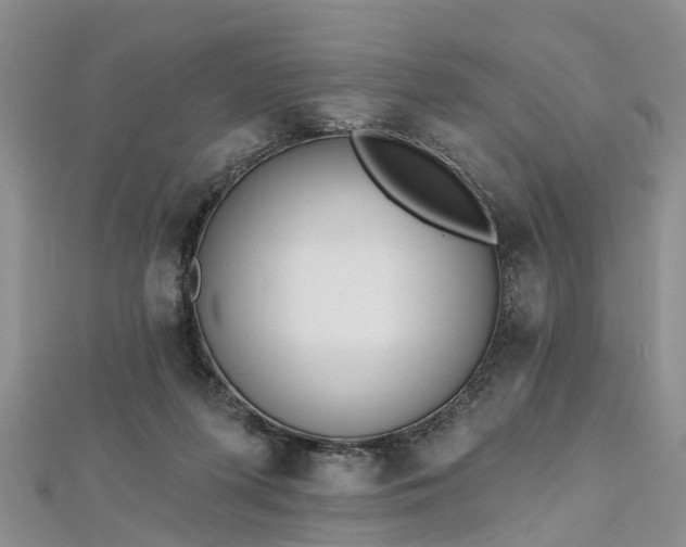 X0000112480215200908241301