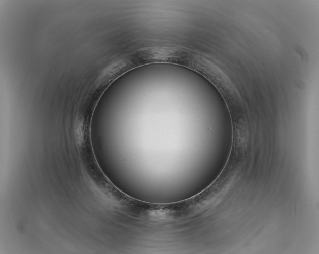 X0000112480216200908241301