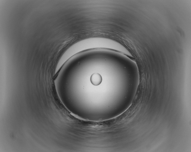 X0000112480220200908241301