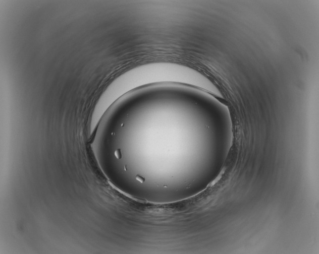 X0000112480221200908241301