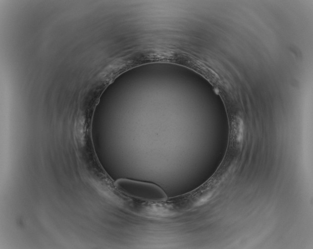 X0000112480223200908241301