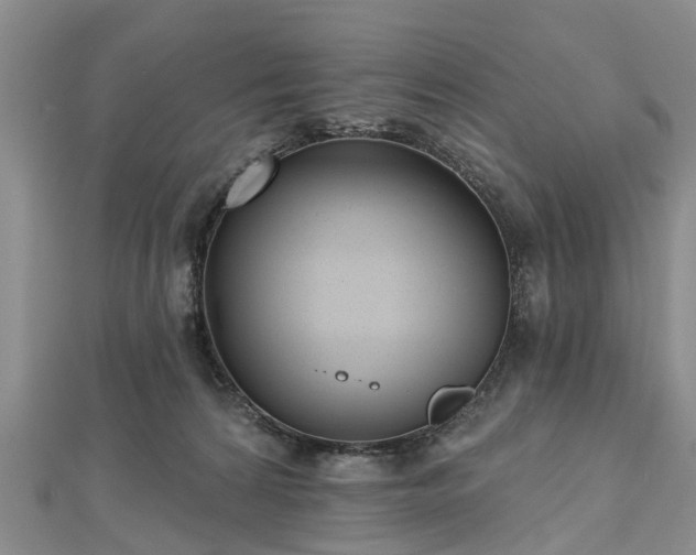 X0000112480224200908241301