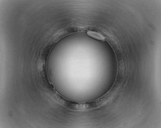 X0000112480225200908241301