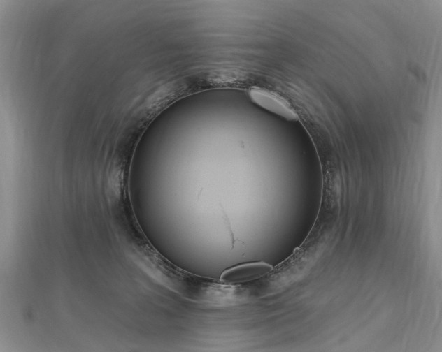 X0000112480227200908241301