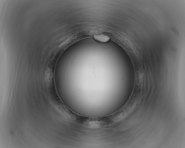 X0000112480228200908241301