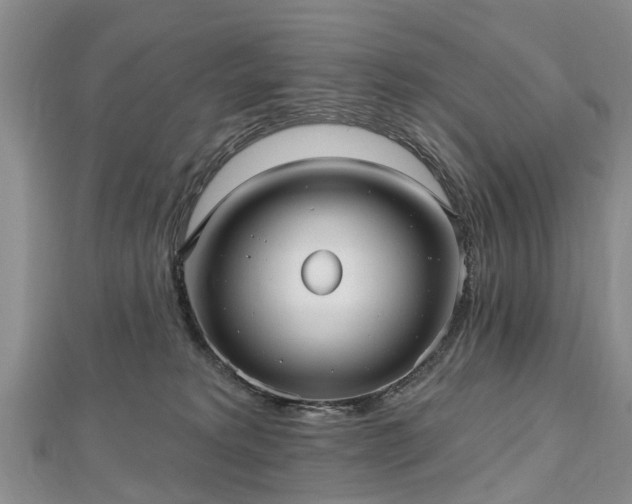 X0000112480229200908241301