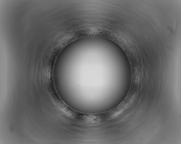 X0000112480230200908241301