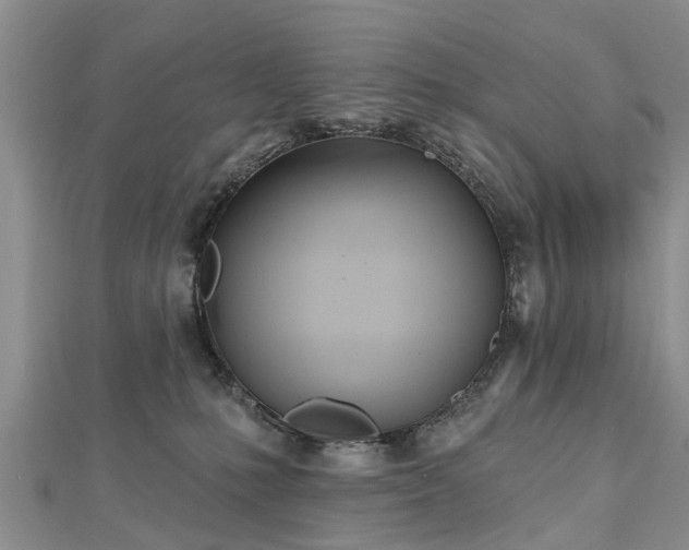 X0000112480231200908241301