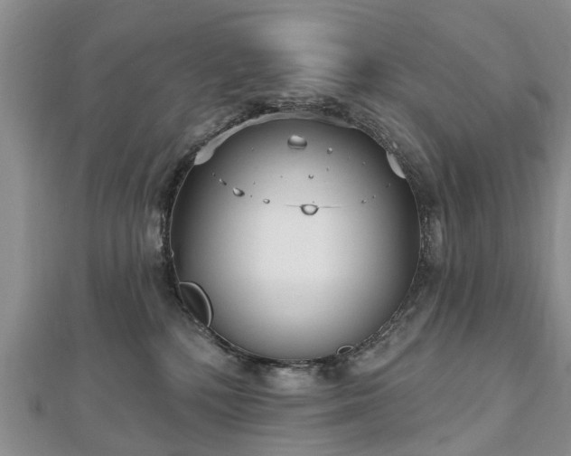 X0000112480232200908241301