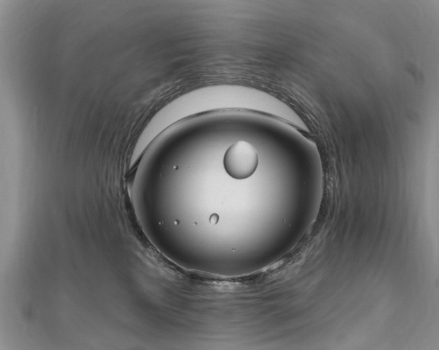 X0000112480233200908241301