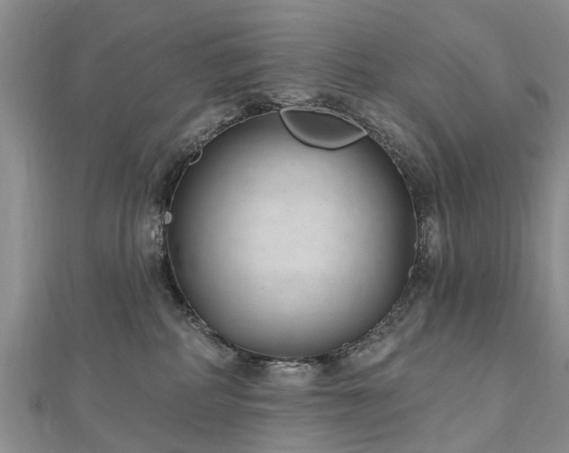 X0000112480234200908241301