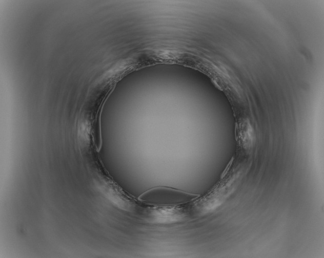 X0000112480235200908241301