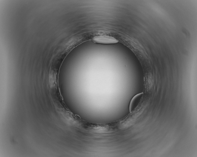 X0000112480236200908241301