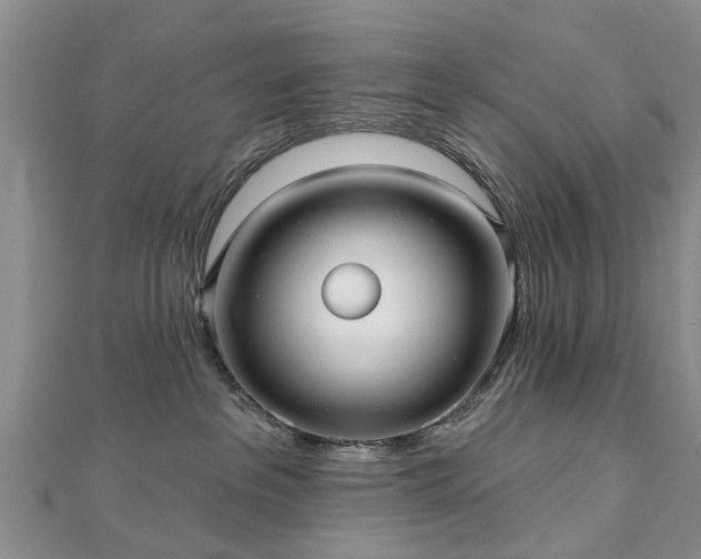 X0000112480237200908241301