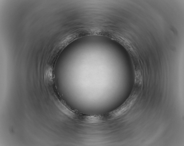 X0000112480238200908241301