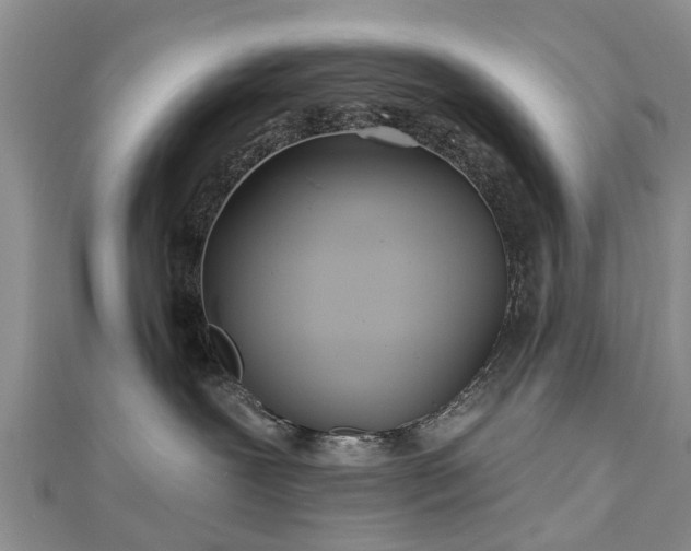 X0000112480239200908241301