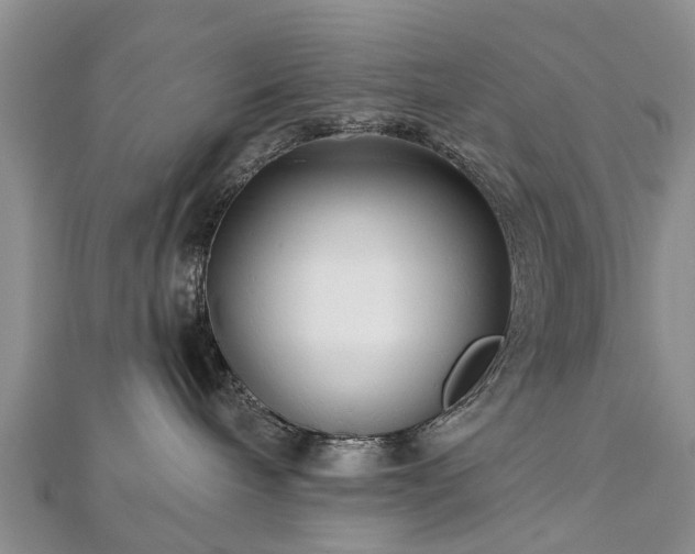 X0000112480240200908241301