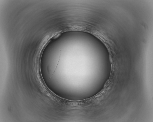 X0000112480241200908241300