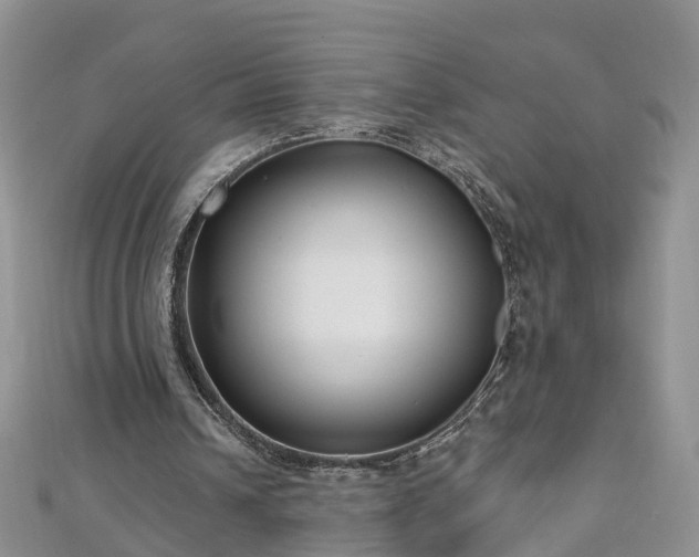 X0000112480242200908241300