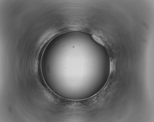 X0000112480243200908241300