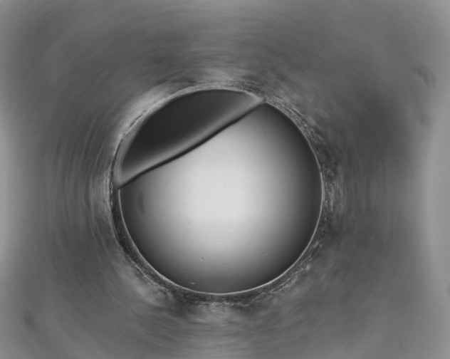 X0000112480244200908241300