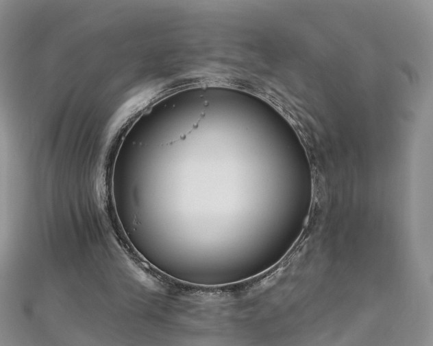 X0000112480245200908241300