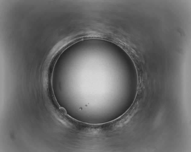 X0000112480247200908241300