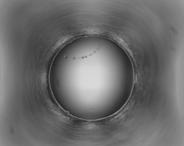 X0000112480249200908241300