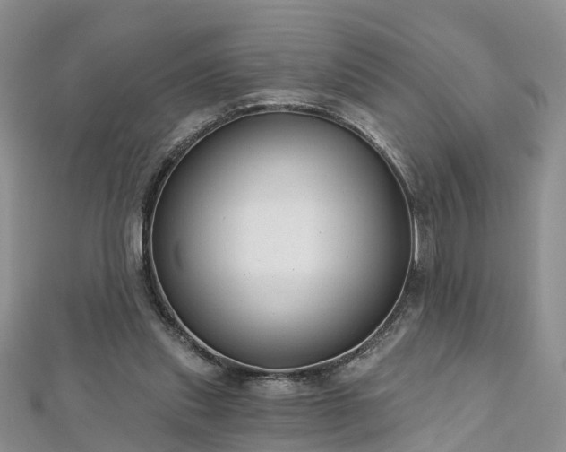 X0000112480253200908241300