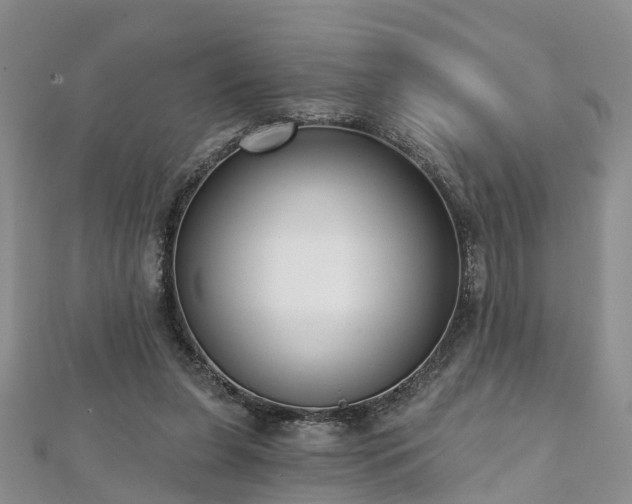 X0000112480255200908241300