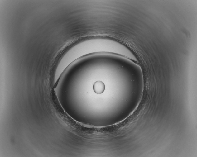 X0000112480256200908241300