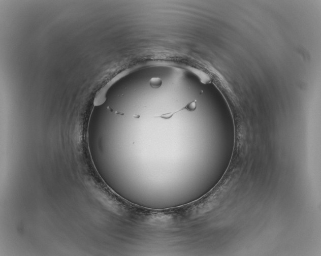 X0000112480257200908241300