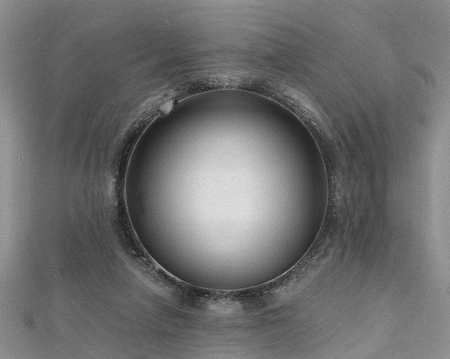 X0000112480258200908241300