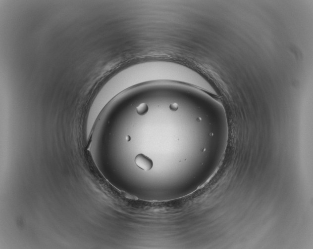 X0000112480260200908241300